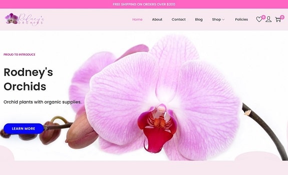 portfolio bootstrap site by rodney bradshaw